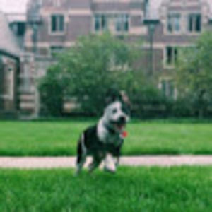 Meet your Posher, Andrew